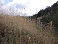 rrente Quarantore-20110911 179